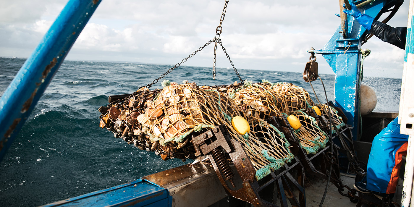  • Armement Gwen, pêche artisanale et traditionnelle